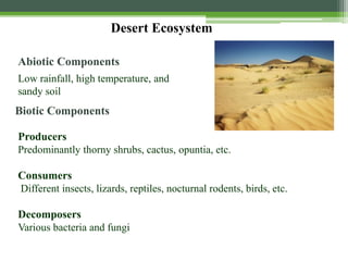 Desert Ecosystem
Producers
Predominantly thorny shrubs, cactus, opuntia, etc.
Consumers
Different insects, lizards, reptiles, nocturnal rodents, birds, etc.
Decomposers
Various bacteria and fungi
Low rainfall, high temperature, and
sandy soil
Abiotic Components
Biotic Components
 