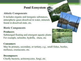 Pond Ecosystem
It includes organic and inorganic substances,
atmospheric gases dissolved in water, minerals
found in dissolved state, etc.
Producers
Submerged floating and emergent aquatic plants
For example, nelumbo, hydrilla, chara, etc.
Consumers
May be primary, secondary, or tertiary, e.g., small fishes, beetles,
mollusca, crustaceans, etc.
Decomposers
Chiefly bacteria, actinomycetes, fungi, etc.
Abiotic Components
Biotic Components
 