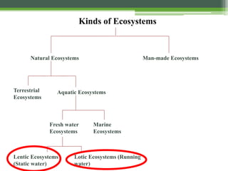 Kinds of Ecosystems
Natural Ecosystems Man-made Ecosystems
Terrestrial
Ecosystems
Aquatic Ecosystems
Fresh water
Ecosystems
Marine
Ecosystems
Lentic Ecosystems
(Static water)
Lotic Ecosystems (Running
water)
 