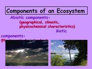 Components of an Ecosystem Abiotic components-   (geographical, climatic,  physicochemical characteristics)   B iotic  components- (Plants, animals, microbes)    