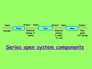 Series open system components Plant Cow Man Input Sunlight  Output - Input Chemical  energy in  leaves Output - input Chemical  energy  in meat  of cow Output Heat  given  off during  