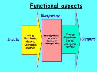 Functional aspects Inputs   Energy, Nutrients, Gases, Inorganic matter Photosynthesis Herbivory Carnivory Decomposition Energy Nutrients Gases, Inorganic matter Outputs Biosystems 