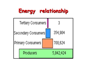 Energy  relationship 