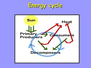 Energy cycle 