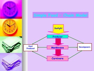 Sunlight Producer Carnivore Herbivore Heat Produced Decomposers Simple Food – Chain Model 