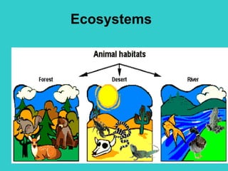 Ecosystems   