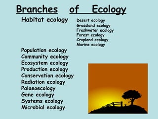 Branches   of  Ecology Habitat ecology   Desert ecology Grassland ecology Freshwater ecology Forest ecology Cropland ecology Marine ecology Population ecology Community ecology Ecosystem ecology Production ecology Conservation ecology Radiation ecology Palaeoecology Gene ecology Systems ecology Microbial ecology 