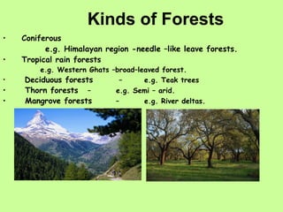 Kinds of Forests Coniferous    e.g. Himalayan region -needle –like leave forests. Tropical rain forests   e.g. Western Ghats –broad–leaved forest. Deciduous forests  –  e.g. Teak trees Thorn forests   –  e.g. Semi – arid. Mangrove forests   –  e.g. River deltas. 