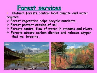 Forest services Natural forests control local climate and water  regimes. Forest vegetation helps recycle nutrients. Forest prevent erosion of soil. Forests control flow of water in streams and rivers. Forests absorb carbon dioxide and release oxygen  that we  breathe. 