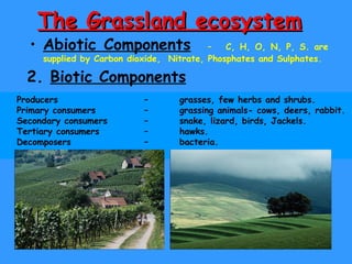 The Grassland ecosystem Abiotic Components   –  C, H, O, N, P, S. are supplied by Carbon dioxide,  Nitrate, Phosphates and Sulphates. 2.  Biotic Components Producers  –  grasses, few herbs and shrubs. Primary consumers  –  grassing animals- cows, deers, rabbit. Secondary consumers  –  snake, lizard, birds, Jackels. Tertiary consumers  –  hawks. Decomposers  –  bacteria. 