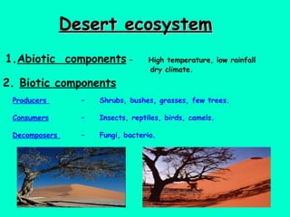 Desert ecosystem 1. Abiotic  components  –  High temperature, low rainfall  dry climate.  2.  Biotic components Producers  –  Shrubs, bushes, grasses, few trees. Consumers   –  Insects, reptiles, birds, camels. Decomposers  –  Fungi, bacteria. 