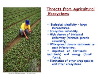 Threats from Agricultural Ecosystems Ecological simplicity – large  monocultures. Ecosystem instability. High degree of biological  uniformity (minimum genetic  variability). Widespread disease outbreaks or  pest infestations. Depletion of fertilizers  (nutrients) and energy (fossil  fuels). Elimination of other crop species  and other ecosystems. 