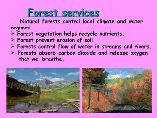 Forest services <ul><li>Natural forests control local climate and water  regimes. </li></ul><ul><li>Forest vegetation help...