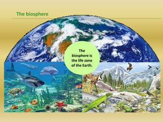 The biosphere




                     The
                biosphere is
                the life zone
                of the Earth.
 