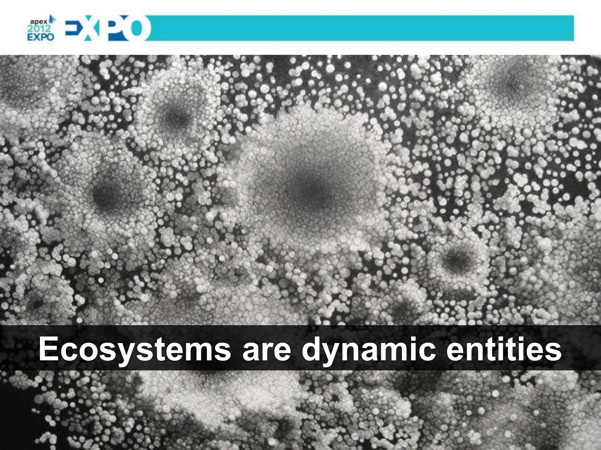 Ecosystems are dynamic entities
 