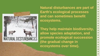 ECOSYSTEM DISTURBANCES-NATURAL AND HUMAN DISTURBANCES | PDF