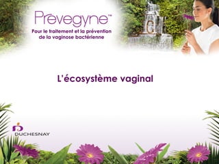 Pour le traitement et la prévention
  de la vaginose bactérienne




           L’écosystème vaginal
 