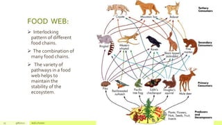 Ecosystem ecology | PPTX