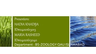 Presenters:
HADIA KHADIJA
ID#04021613013
MARIA RASHEED
ID#04021613040
Department : BS-ZOOLOGY QAU ISLAMABAD
 