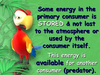 13
Some energy in the
Some energy in the
primary consumer is
primary consumer is
STORED
STORED &
& not lost
not lost
to the atmosphere or
to the atmosphere or
used by the
used by the
consumer itself.
consumer itself.
This energy is
This energy is
available
available for another
for another
consumer
consumer (predator).
(predator).
 