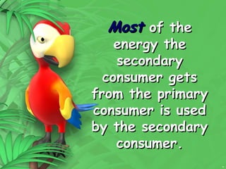 15
Most
Most of the
of the
energy the
energy the
secondary
secondary
consumer gets
consumer gets
from the primary
from the primary
consumer is used
consumer is used
by the secondary
by the secondary
consumer.
consumer.
 