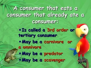 17
A consumer that eats a
A consumer that eats a
consumer that already ate a
consumer that already ate a
consumer:
consumer:
•Is called a
Is called a 3rd order
3rd order or
or
tertiary consumer
tertiary consumer
•May be a
May be a carnivore or
carnivore or
a omnivore
a omnivore
•May be a
May be a predator
predator
•May be a
May be a scavenger
scavenger
 
