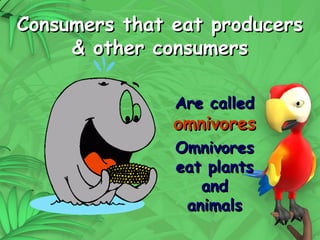 18
Consumers that eat producers
Consumers that eat producers
& other consumers
& other consumers
Are called
Are called
omnivores
omnivores
Omnivores
Omnivores
eat plants
eat plants
and
and
animals
animals
 