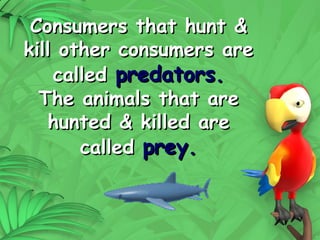 19
Consumers that hunt &
Consumers that hunt &
kill other consumers are
kill other consumers are
called
called predators.
predators.
The animals that are
The animals that are
hunted & killed are
hunted & killed are
called
called prey.
prey.
 