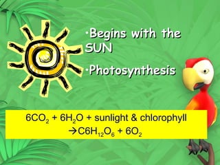 2
•Begins with the
Begins with the
SUN
SUN
•Photosynthesis
Photosynthesis
6CO2 + 6H2O + sunlight & chlorophyll
C6H12O6 + 6O2
 