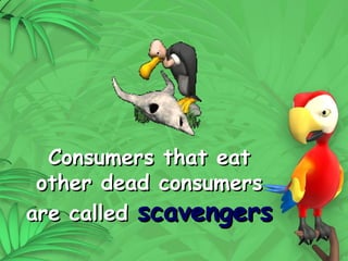 20
Consumers that eat
Consumers that eat
other dead consumers
other dead consumers
are called
are called scavengers
scavengers
 