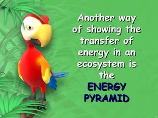 24
Another way
Another way
of showing the
of showing the
transfer of
transfer of
energy in an
energy in an
ecosystem is
ecosystem is
the
the
ENERGY
ENERGY
PYRAMID
PYRAMID
 