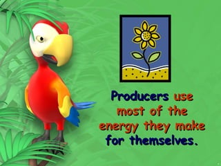 5
Producers
Producers use
use
most of the
most of the
energy they make
energy they make
for themselves.
for themselves.
 