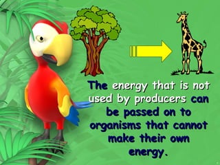 8
The
The energy that is not
energy that is not
used by producers
used by producers can
can
be passed on to
be passed on to
organisms that cannot
organisms that cannot
make their own
make their own
energy.
energy.
 