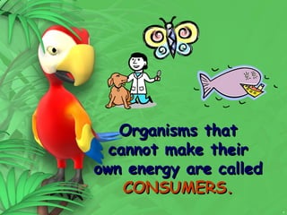 9
Organisms that
Organisms that
cannot make their
cannot make their
own energy are called
own energy are called
CONSUMERS.
CONSUMERS.
 