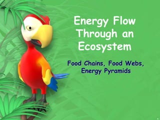 1
Energy Flow
Through an
Ecosystem
Food Chains, Food Webs,
Energy Pyramids
 