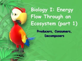 Biology I: Energy Flow Through an Ecosystem (part 1) Producers, Consumers, Decomposers copyright cmassengale 