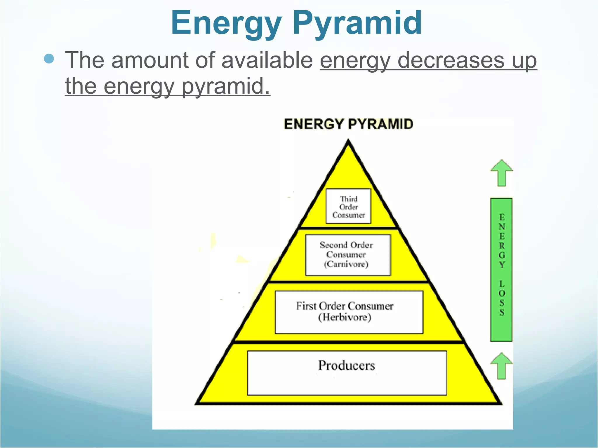 Energy Pyramid The amount of available  energy decreases up the energy pyramid. 
