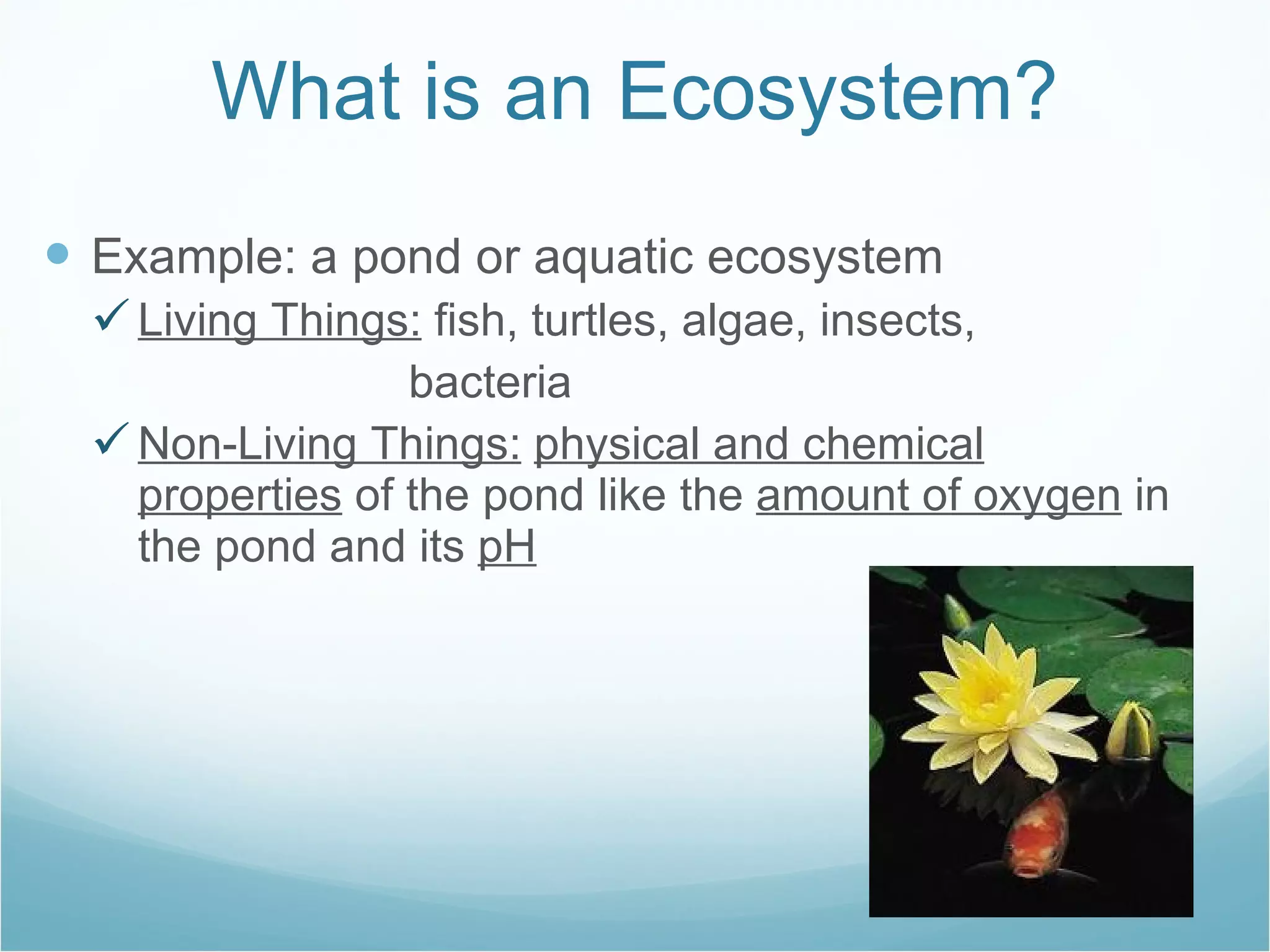 What is an Ecosystem? Example: a pond or aquatic ecosystem Living Things:  fish, turtles, algae, insects,  bacteria Non-Living Things:   physical and chemical properties  of the pond like the  amount of oxygen  in the pond and its  pH 