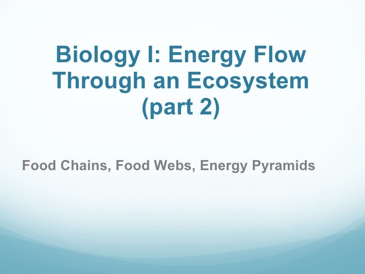 Energy Flow In An Ecosystem Worksheet
