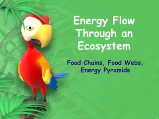 1 Energy Flow Through an Ecosystem Food Chains, Food Webs, Energy Pyramids 
