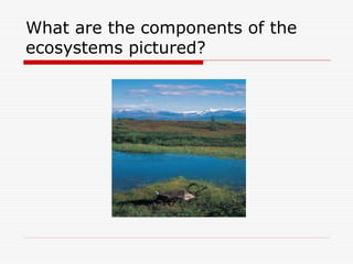 Ecology and Ecosystem Explained Simply.ppt