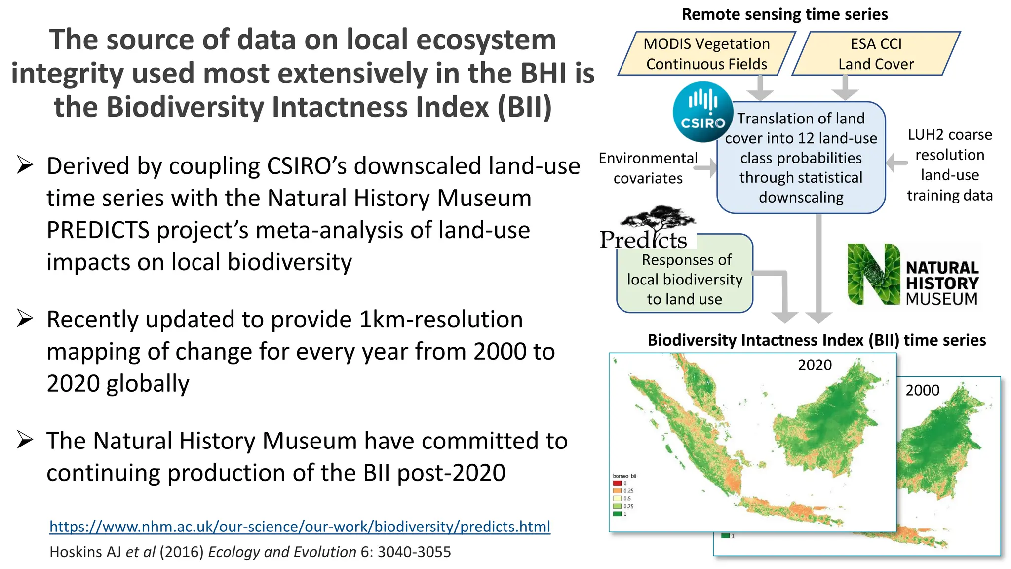 MODIS Vegetation
Continuous Fields
ESA CCI
Land Cover
Remote sensing time series
LUH2 coarse
resolution
land-use
training data
Environmental
covariates
Responses of
local biodiversity
to land use
Biodiversity Intactness Index (BII) time series
2020
2000
Translation of land
cover into 12 land-use
class probabilities
through statistical
downscaling
https://www.nhm.ac.uk/our-science/our-work/biodiversity/predicts.html
Hoskins AJ et al (2016) Ecology and Evolution 6: 3040-3055
The source of data on local ecosystem
integrity used most extensively in the BHI is
the Biodiversity Intactness Index (BII)
➢ Derived by coupling CSIRO’s downscaled land-use
time series with the Natural History Museum
PREDICTS project’s meta-analysis of land-use
impacts on local biodiversity
➢ Recently updated to provide 1km-resolution
mapping of change for every year from 2000 to
2020 globally
➢ The Natural History Museum have committed to
continuing production of the BII post-2020
 