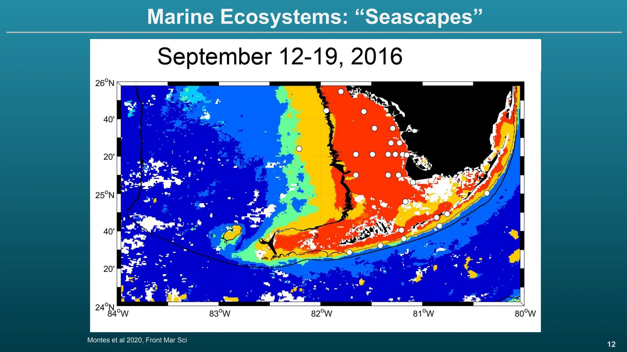 12
Marine Ecosystems: “Seascapes”
Montes et al 2020, Front Mar Sci
 