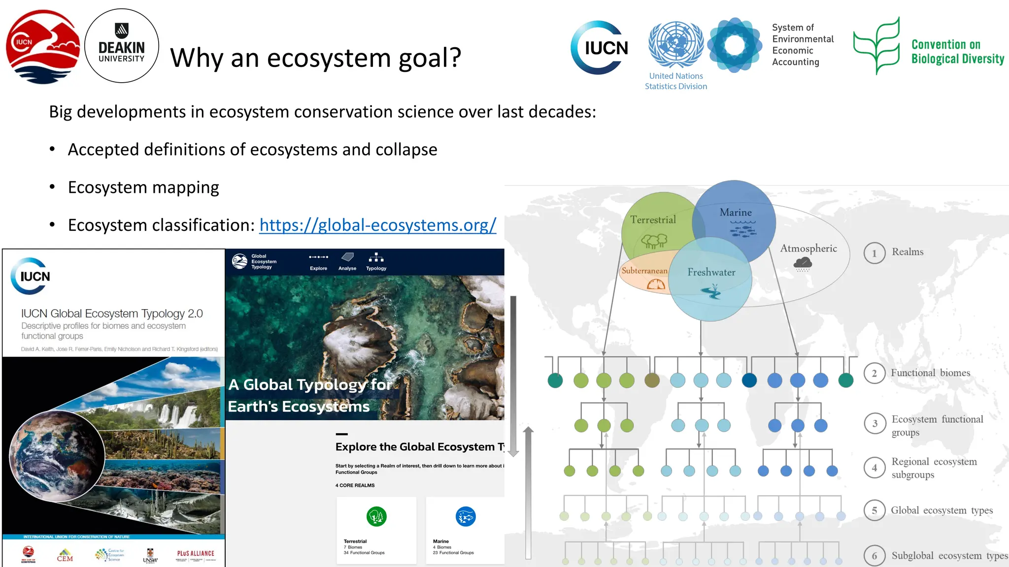 Why an ecosystem goal?
Big developments in ecosystem conservation science over last decades:
• Accepted definitions of ecosystems and collapse
• Ecosystem mapping
• Ecosystem classification: https://global-ecosystems.org/
• Ecosystem risk assessment:
• Red List of Ecosystems (>3000 ecosystem assessed) http://iucnrle.org
• Ecosystem accounting: https://seea.un.org/
 