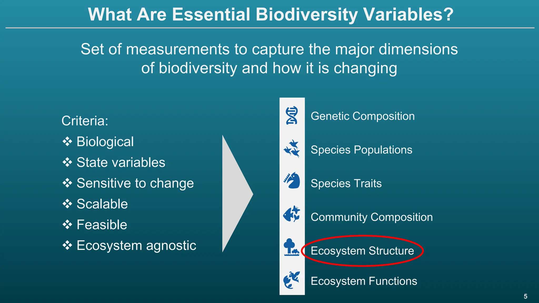 5
What Are Essential Biodiversity Variables?
Criteria:
❖ Biological
❖ State variables
❖ Sensitive to change
❖ Scalable
❖ Feasible
❖ Ecosystem agnostic
Set of measurements to capture the major dimensions
of biodiversity and how it is changing
Genetic Composition
Species Populations
Species Traits
Community Composition
Ecosystem Structure
Ecosystem Functions
 