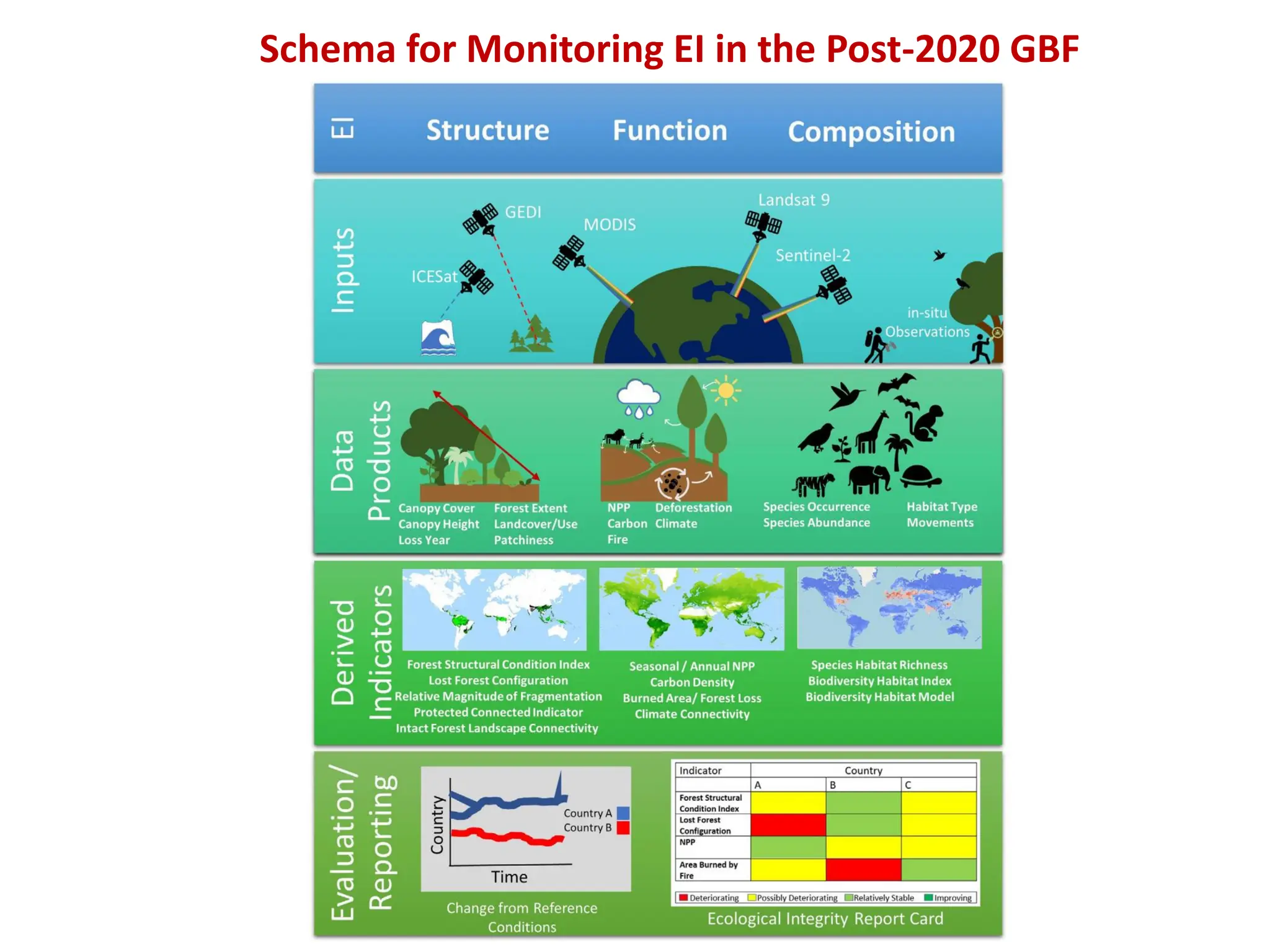 Schema for Monitoring EI in the Post-2020 GBF
 