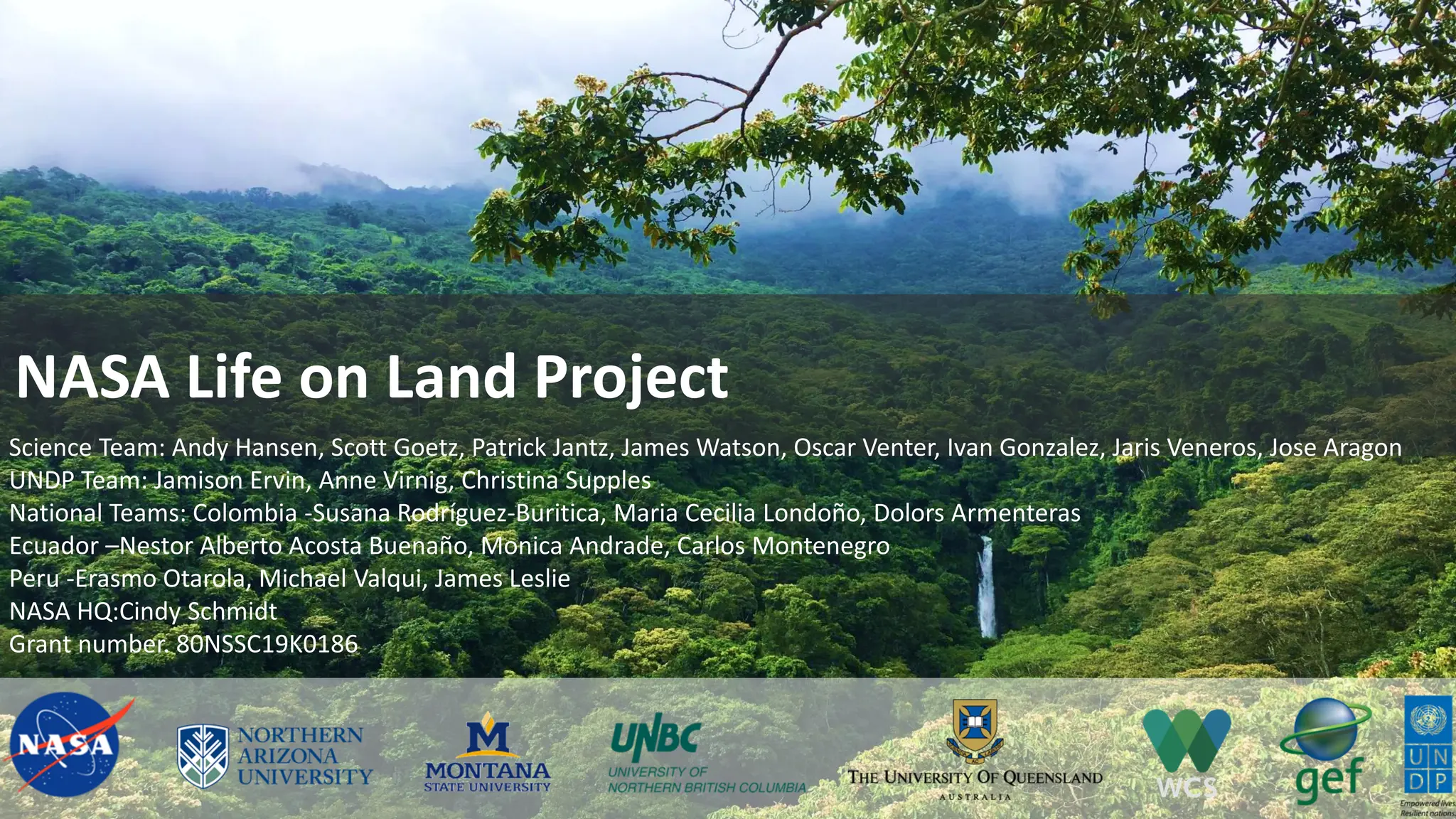 NASA Life on Land Project
Science Team: Andy Hansen, Scott Goetz, Patrick Jantz, James Watson, Oscar Venter, Ivan Gonzalez, Jaris Veneros, Jose Aragon
UNDP Team: Jamison Ervin, Anne Virnig, Christina Supples
National Teams: Colombia -Susana Rodríguez-Buritica, Maria Cecilia Londoño, Dolors Armenteras
Ecuador –Nestor Alberto Acosta Buenaño, Monica Andrade, Carlos Montenegro
Peru -Erasmo Otarola, Michael Valqui, James Leslie
NASA HQ:Cindy Schmidt
Grant number. 80NSSC19K0186
 