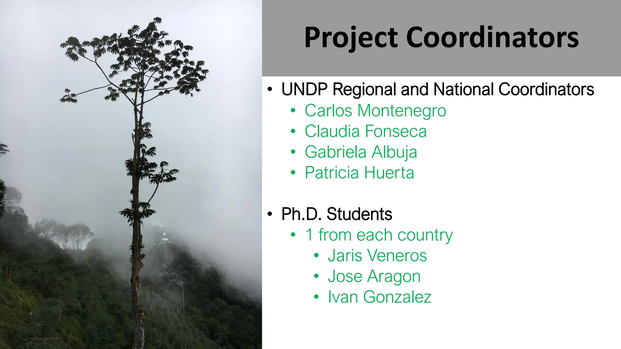 Project Coordinators
• UNDP Regional and National Coordinators
• Carlos Montenegro
• Claudia Fonseca
• Gabriela Albuja
• Patricia Huerta
• Ph.D. Students
• 1 from each country
• Jaris Veneros
• Jose Aragon
• Ivan Gonzalez
 