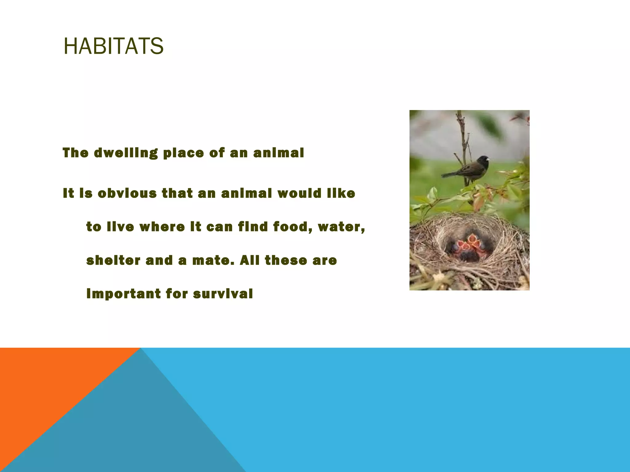 HABITATS



The dwelling place of an animal

It is obvious that an animal would like

   to live where it can find food, water,

   shelter and a mate. All these are

   important for survival
 