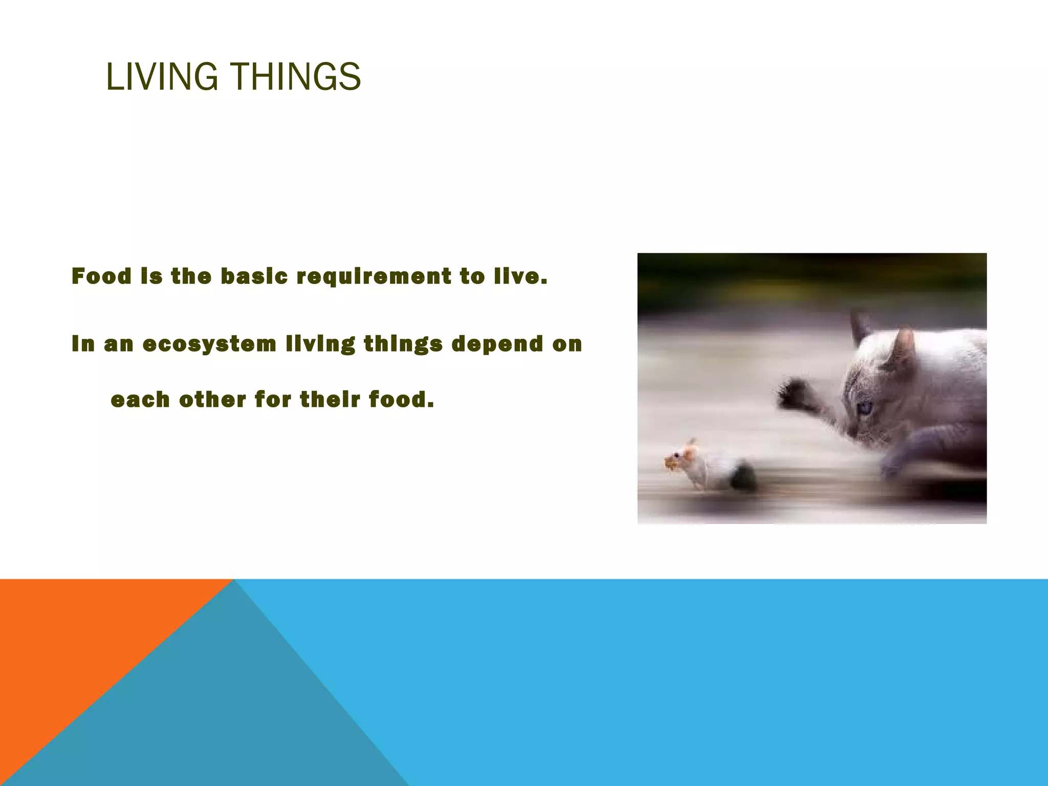LIVING THINGS



Food is the basic requirement to live.

In an ecosystem living things depend on

   each other for their food.
 